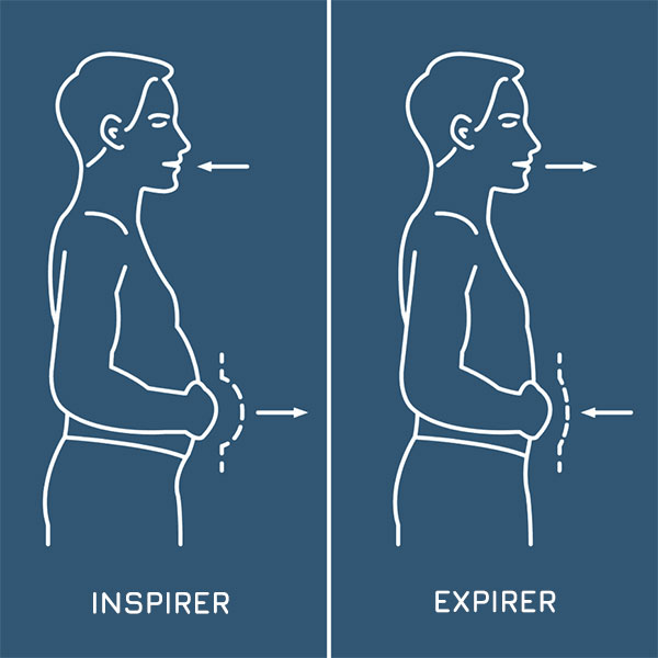 respiration-abdominale