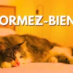 Yoga nidra pour dormir guide débutant + séance type