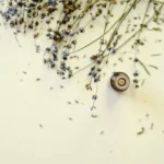Aromathérapie et stress : quelles huiles essentielles ont de vraies preuves