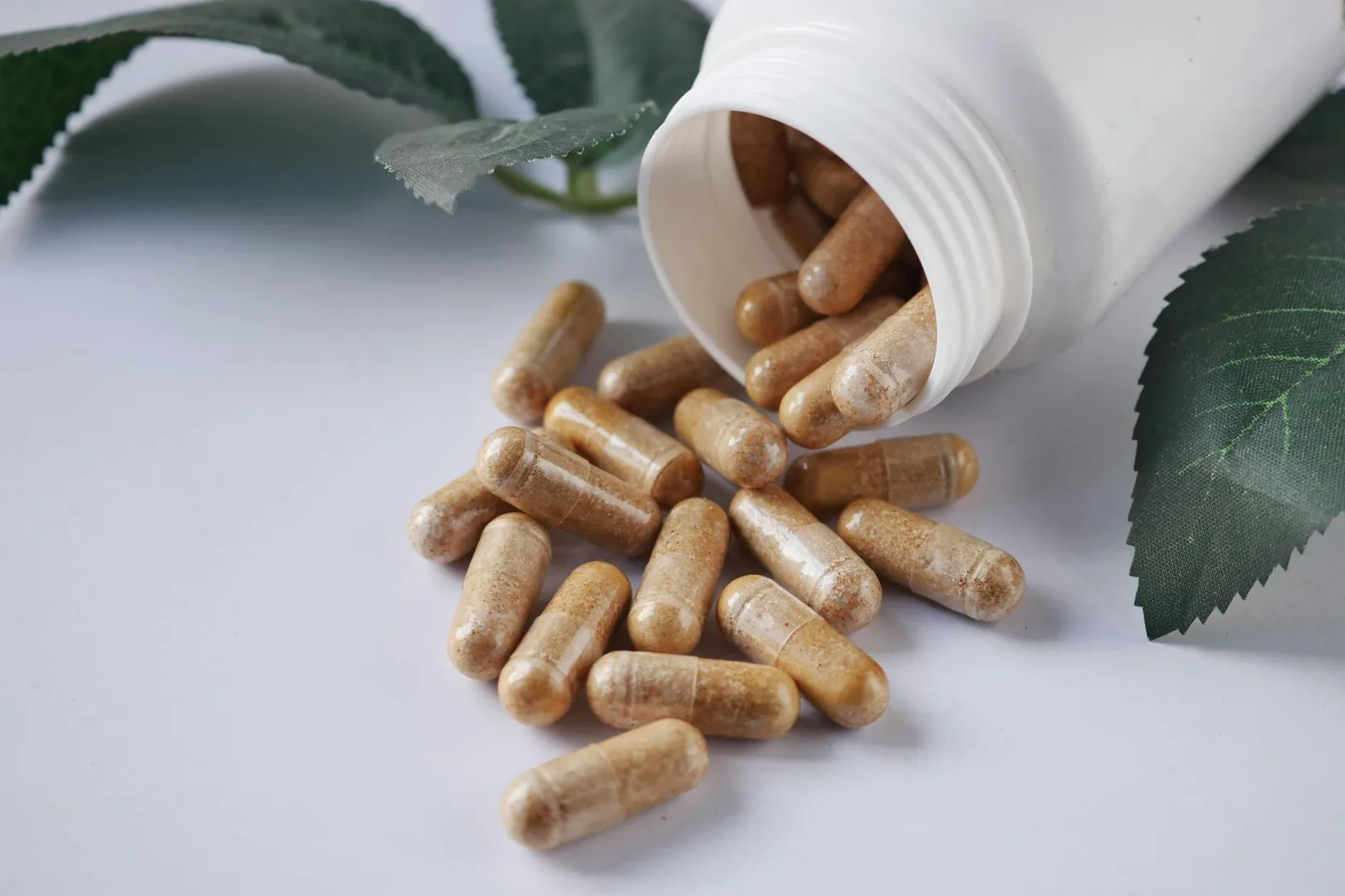 Ashwagandha et stress : ce que les études cliniques disent vraiment