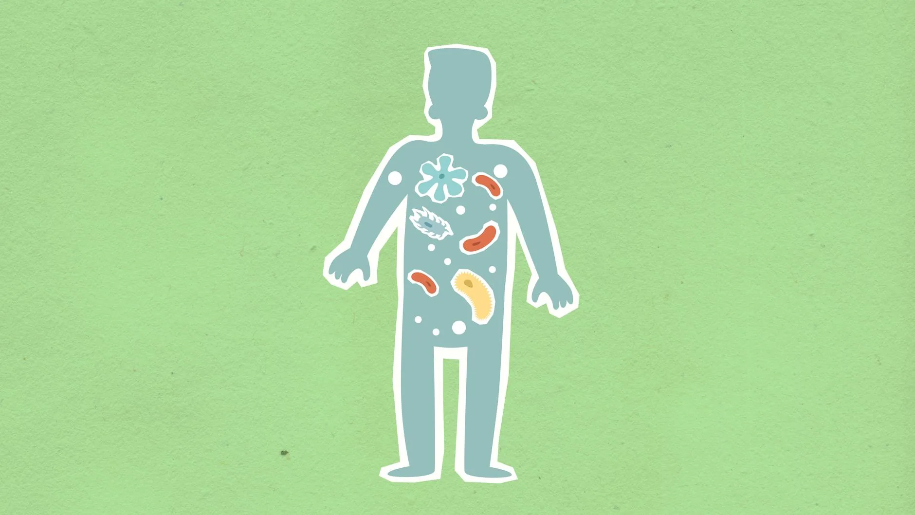 Axe intestin-cerveau : comment votre microbiome influence l'anxiété et l'humeur