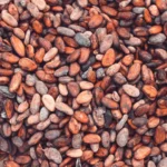 Cacao et flavonoïdes : ce que le chocolat noir fait au cerveau Cacao et flavonoïdes : ce que le chocolat noir fait au cerveau