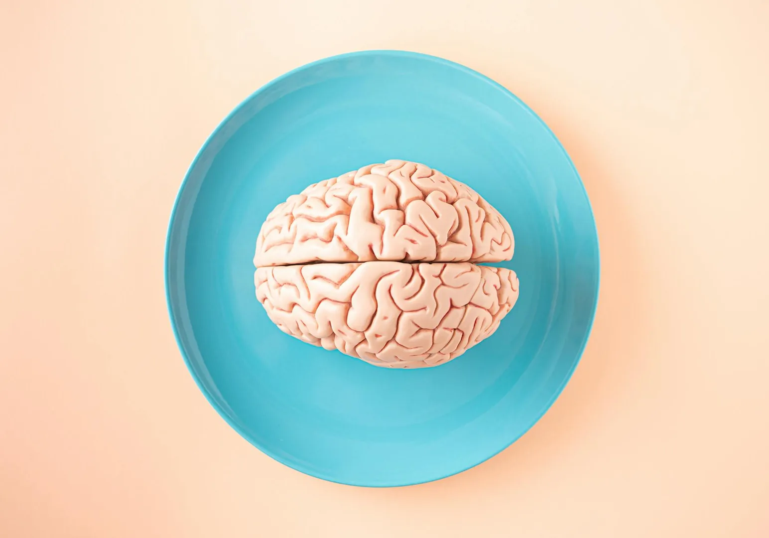 La gratitude comme pratique : effets sur le cerveau et les émotions