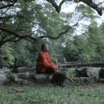 Méditation Vipassana : la technique bouddhiste qui reconfigure le cerveau