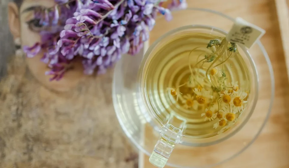 Plantes relaxantes en infusion : quelles tisanes ont une efficacité prouvée ?