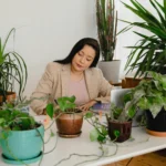 Plantes adaptogènes : le guide des 8 meilleurs adaptogènes pour le stress Pleine conscience au travail : réduire le stress professionnel par la mindfulness