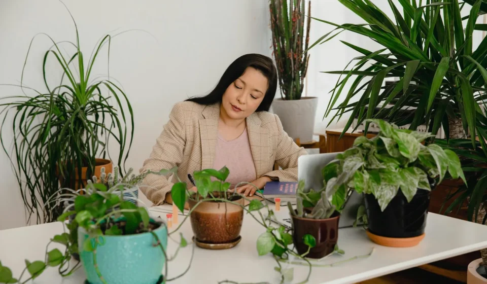 Pleine conscience au travail : réduire le stress professionnel par la mindfulness