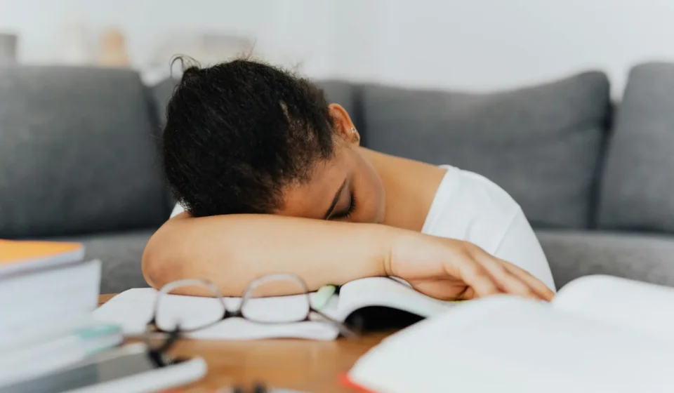 Sommeil et mémoire : comment le cerveau consolide les apprentissages la nuit