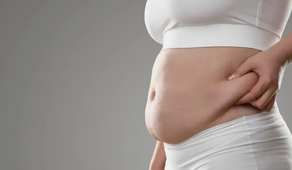bruleur-graisse-abdominale-bifidobacterium-lactis-b420-piste-serieuse